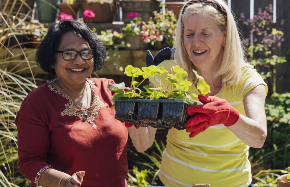 two women potting seedlings on a sunny day